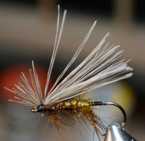 Caddis dry nymph